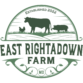 East Rightadown Farm Cow Farmers Holsworthy Devon
